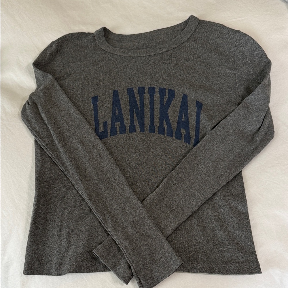 Brandy Melville Gray Long Sleeve Tee